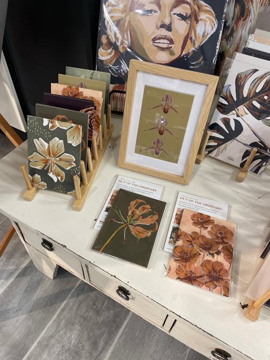 Handelswinckel Uden x Studio Carper