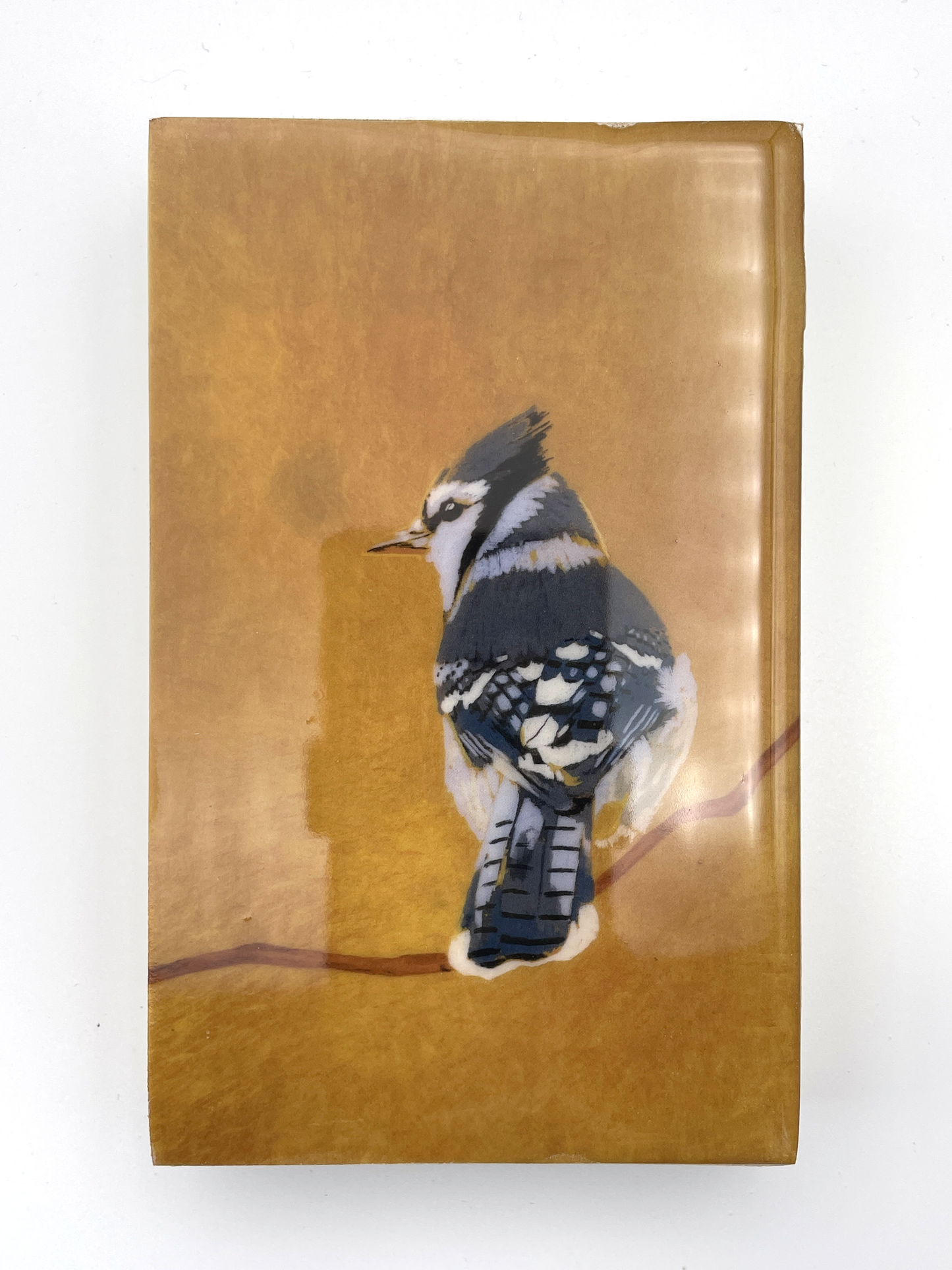 Blue Jay Wood Tile