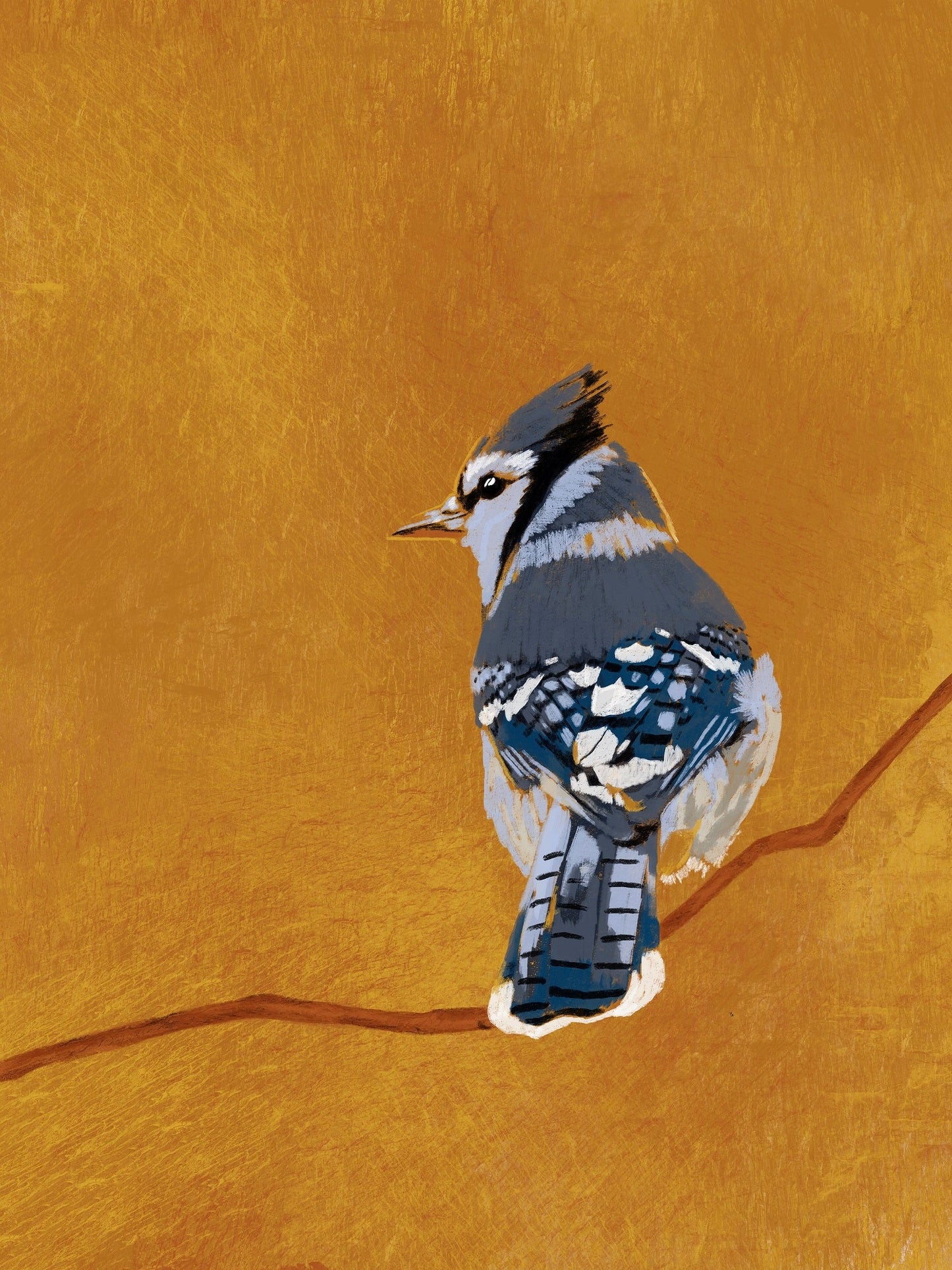 Blue jay XL Poster