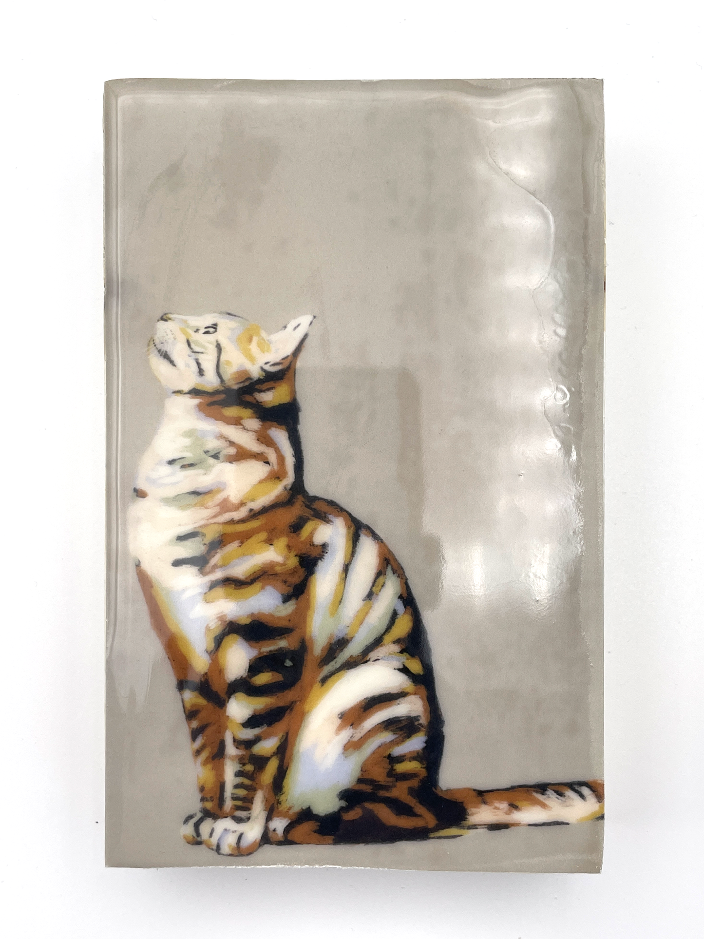 Cat looking Up Wood Tile