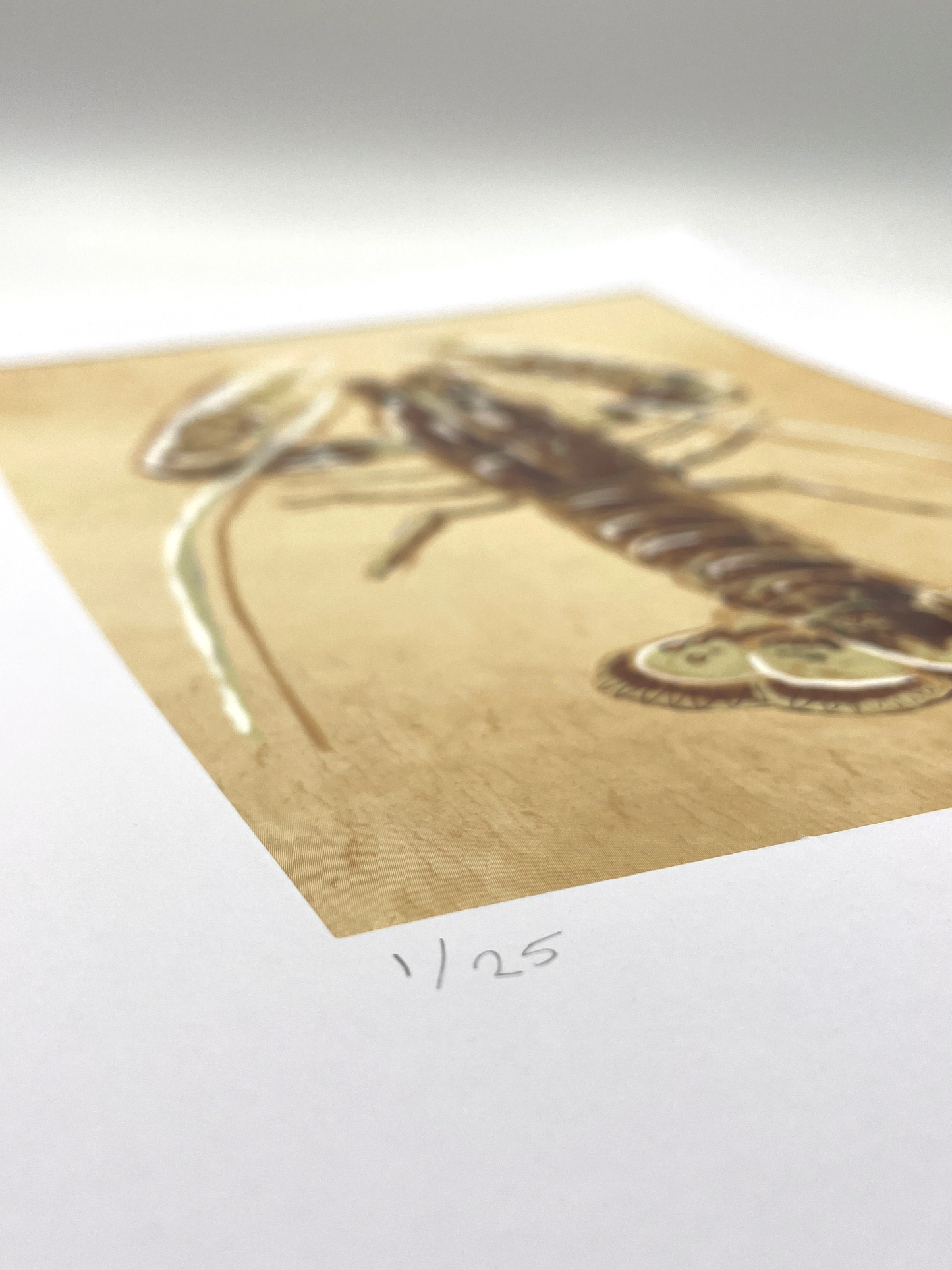 Lobster