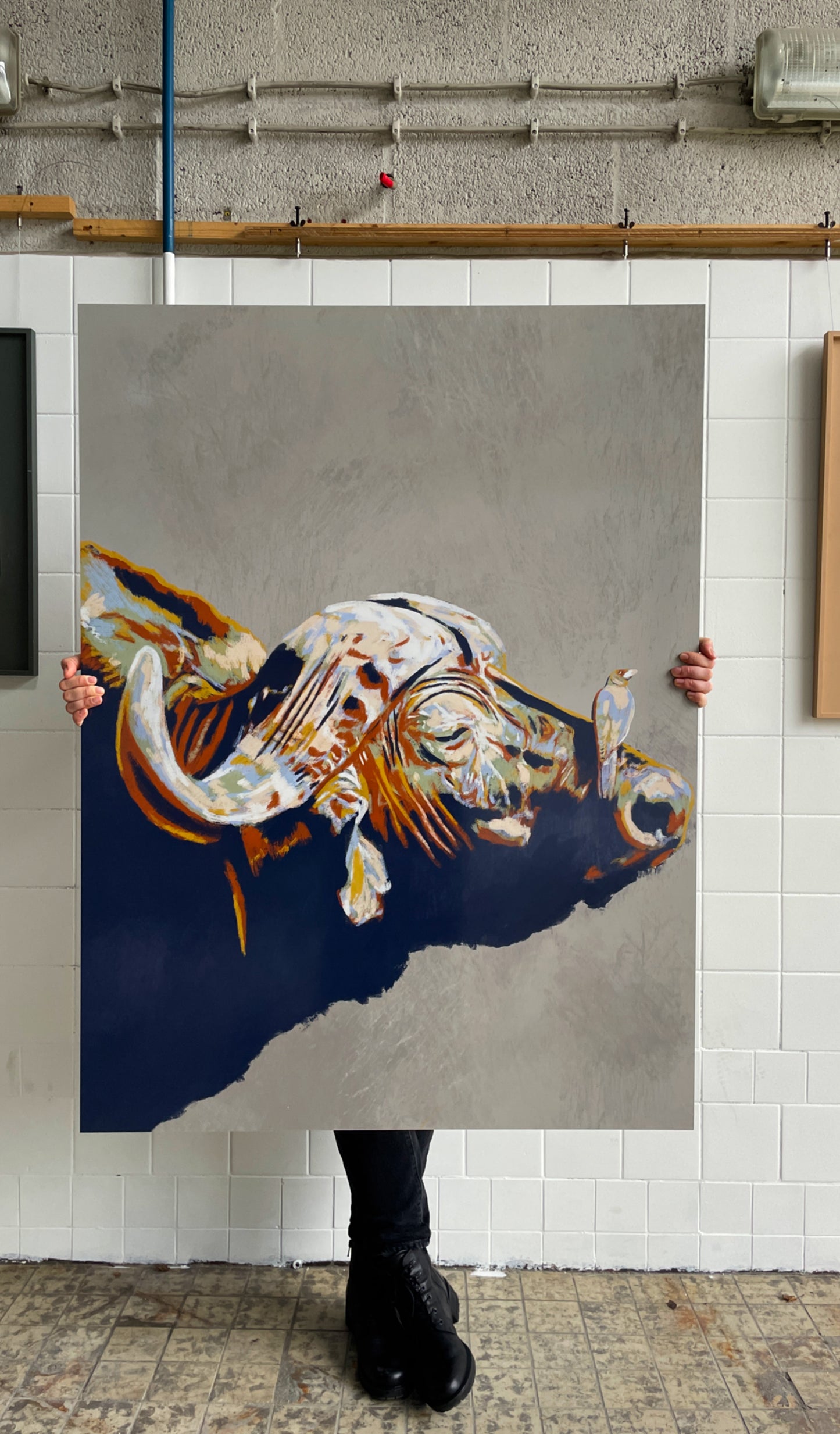Buffalo one-of-a-kind aluminium dibond print