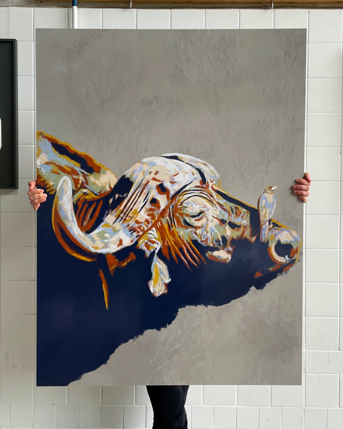 Buffalo one-of-a-kind aluminium dibond print