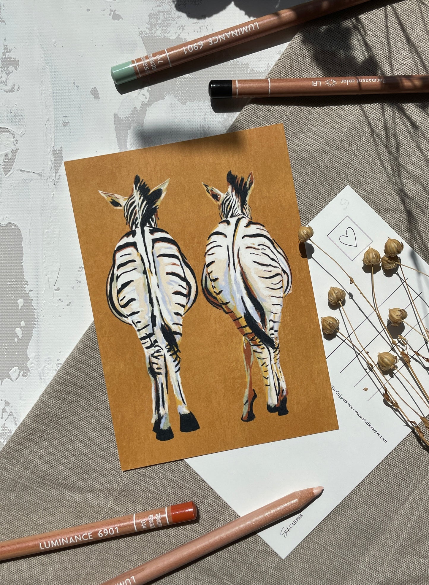 Ansichtkaart Studio Carper. Zebra billen uit de Wild Africa collectie.