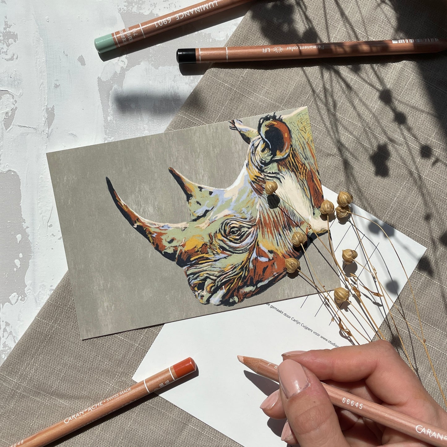 Neushoorn op een ansichtkaart. Kaarten uit de Wild Africa kunst collectie. Kaartenset van 6 kaarten gemaakt door Studio Carper.