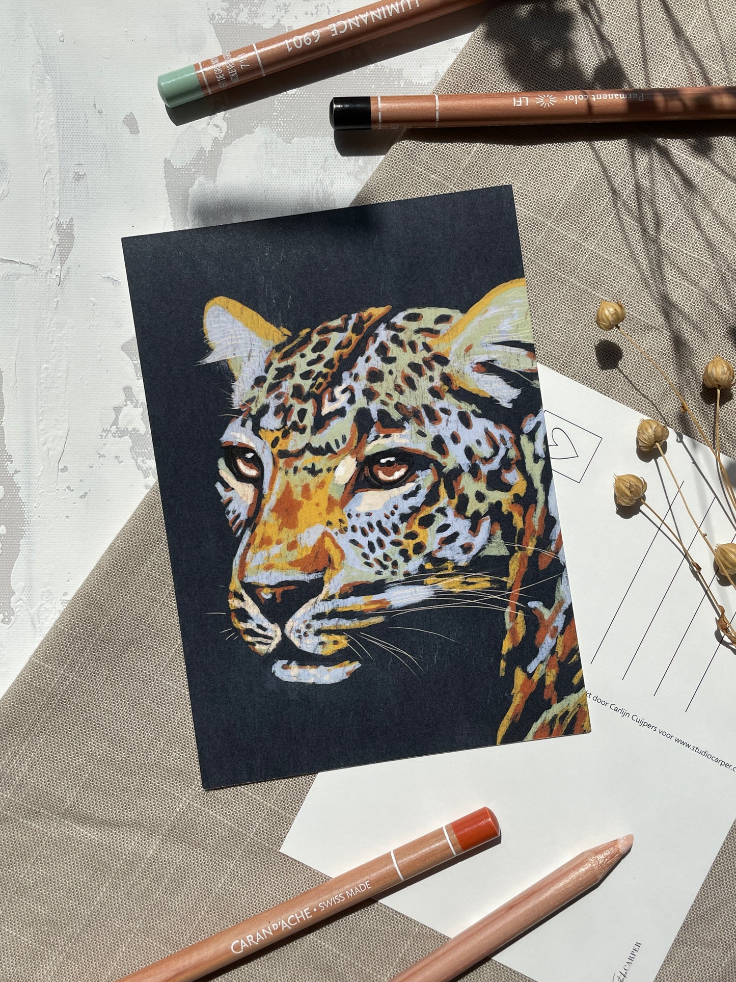 Ansichtkaart met kleurrijke luipaard. Set van 6 ansichtkaarten uit de Wild Africa kunst collectie van Studio Carper.
