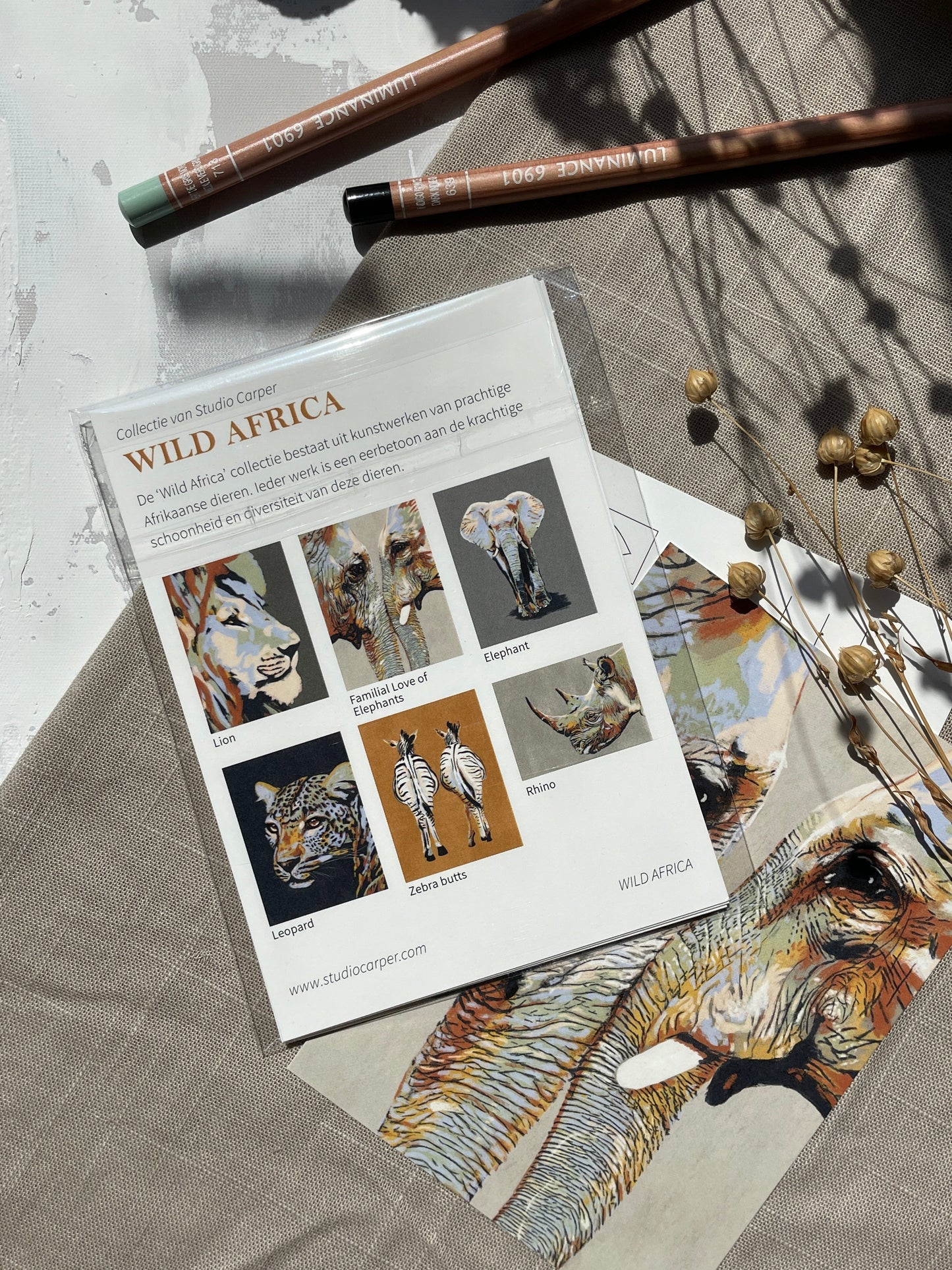 'Wild Africa' Kaartenset