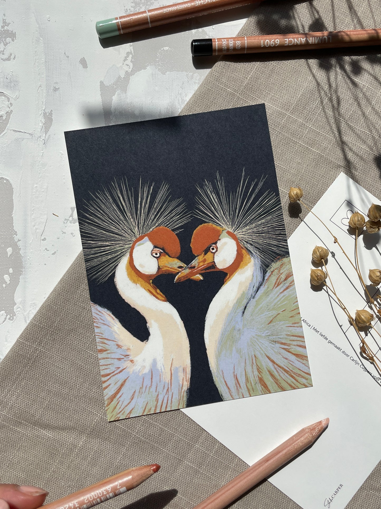 Love Birds als ansichtkaart. Deze kaart met liefdevolle kraanvogels is perfect om aan geliefde te geven. Love birds is onderdeel van de collectie Birds van Studio Carper. De gehele collectie Birds zit in deze ansichtkaartenset op formaat A6.