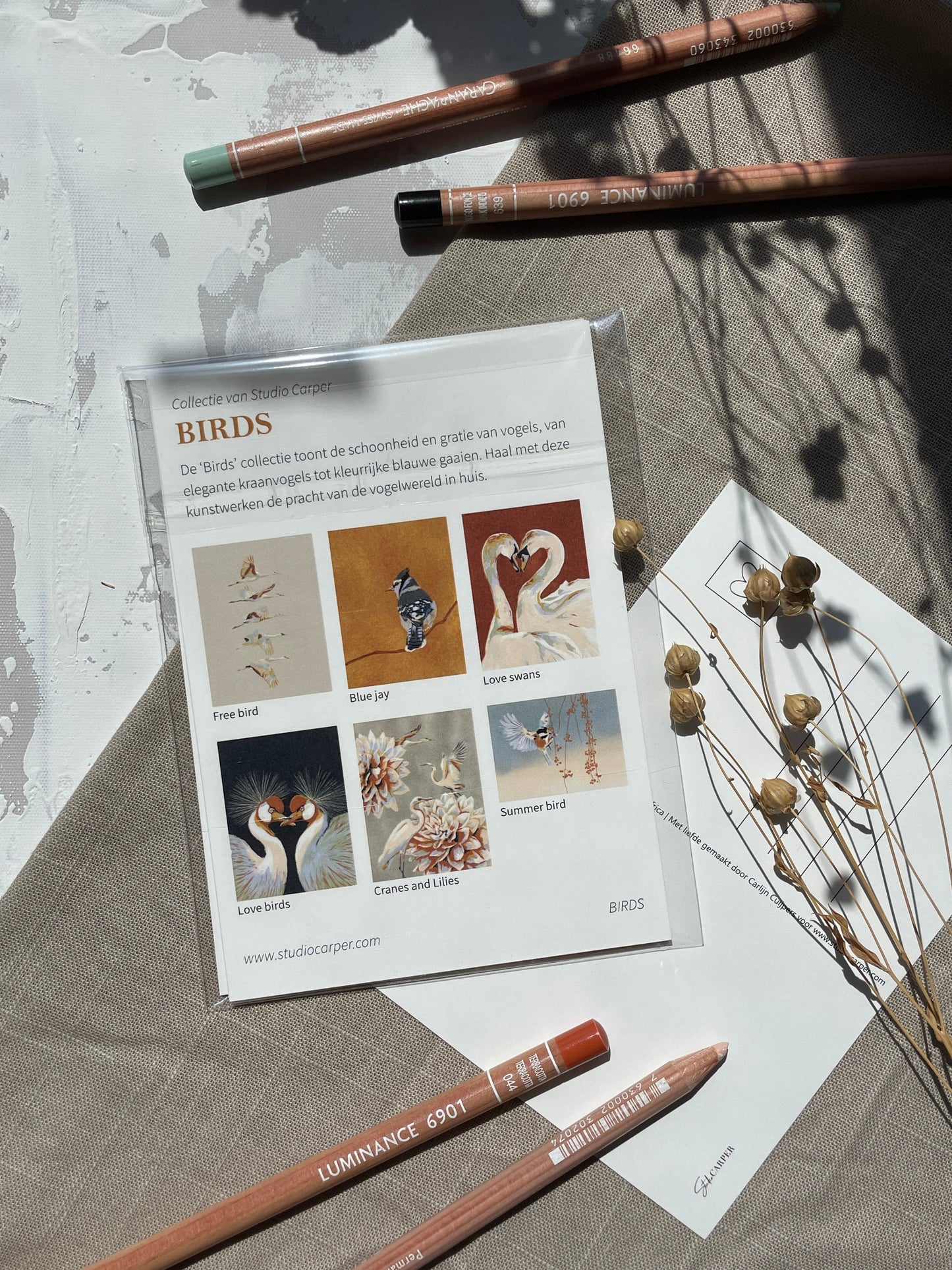 Overzichtskaart van de kaartenset van Studio Carper. Deze kaartenset bevat alle zes de kunstwerken uit de collectie Birds.