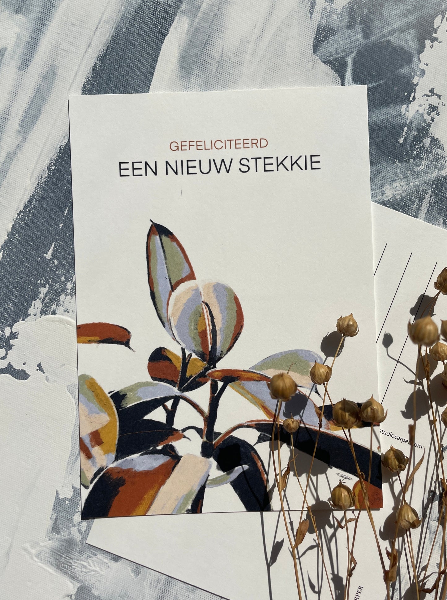 house warming kaartje. Stekkie.