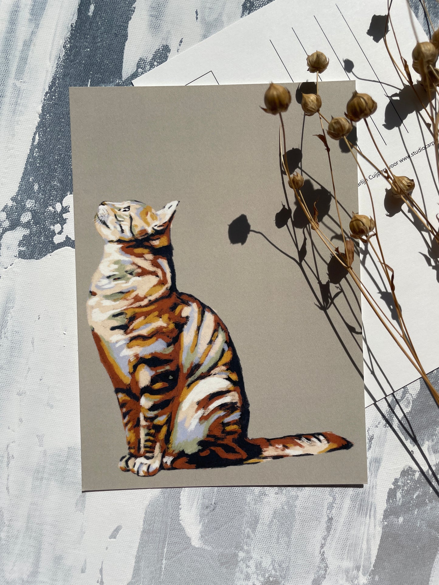 Ansichtkaart 'Cat looking up'