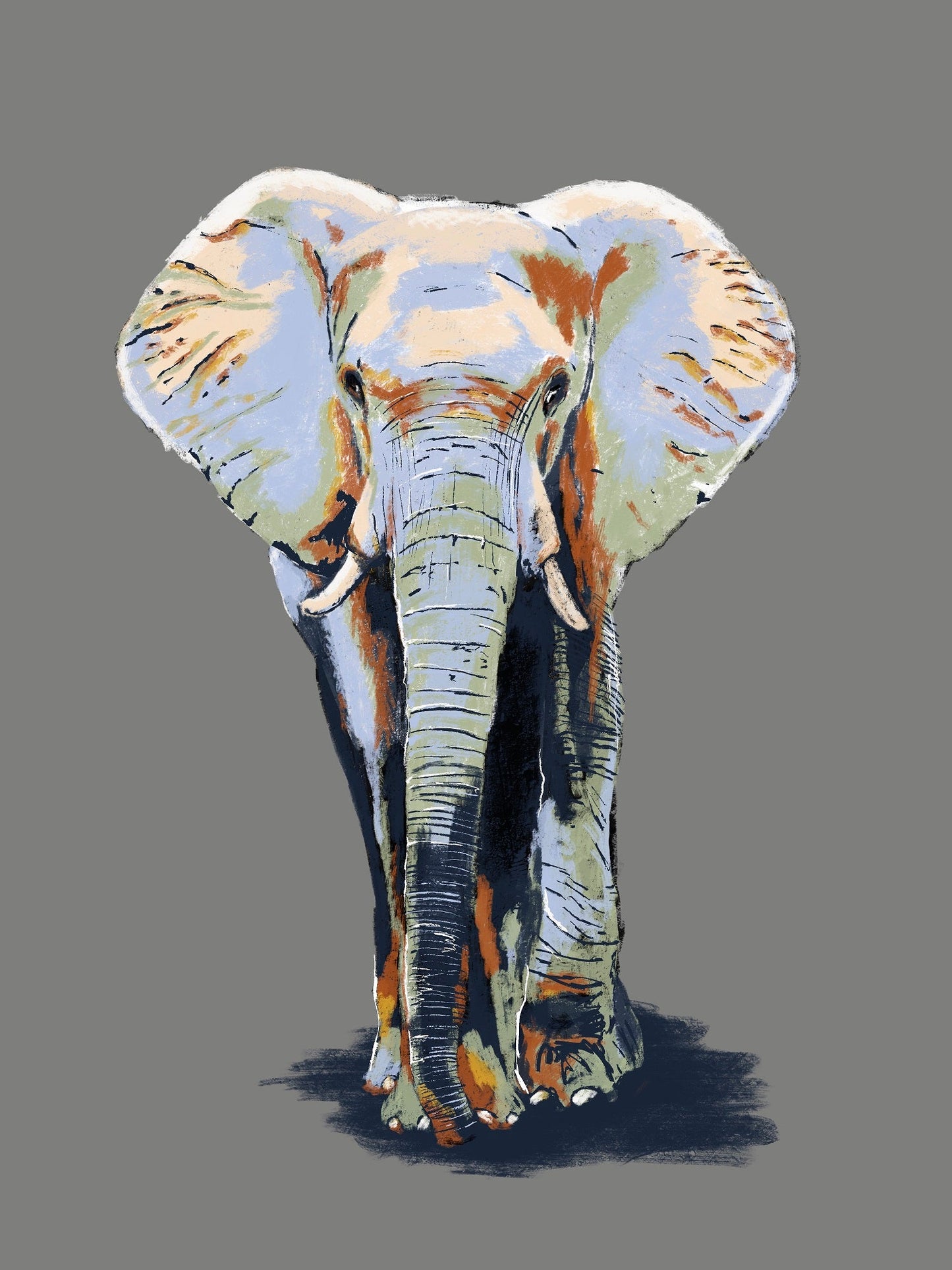 Elephant XL Poster
