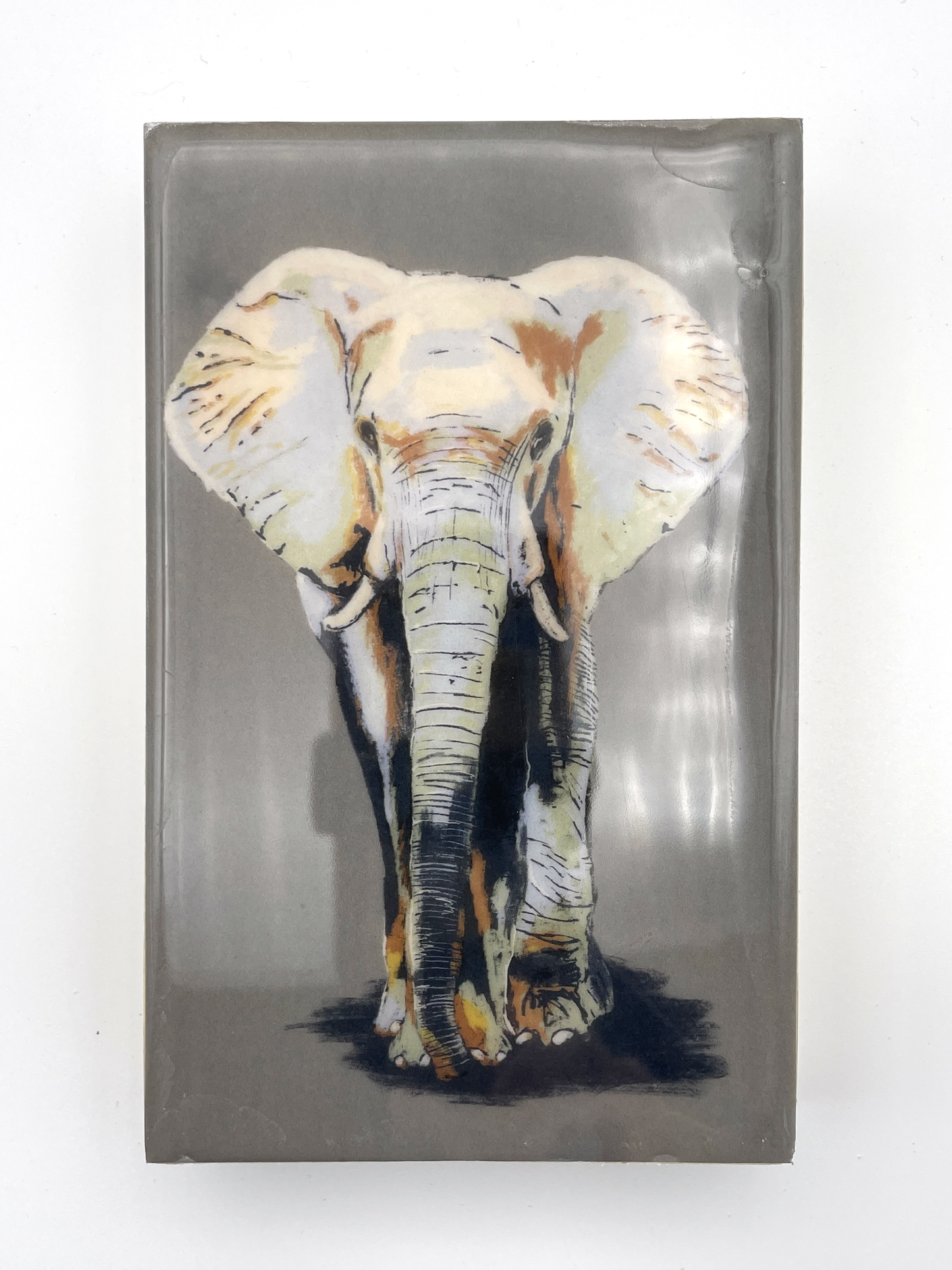 Elephant Wood Tile