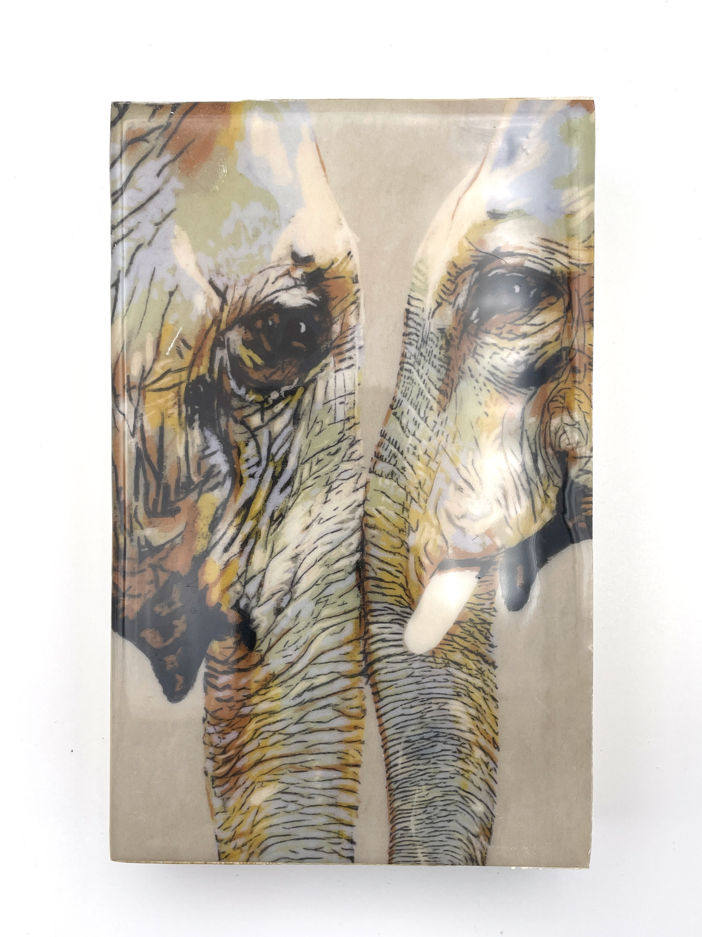 Familial Love of Elephants Wood Tile