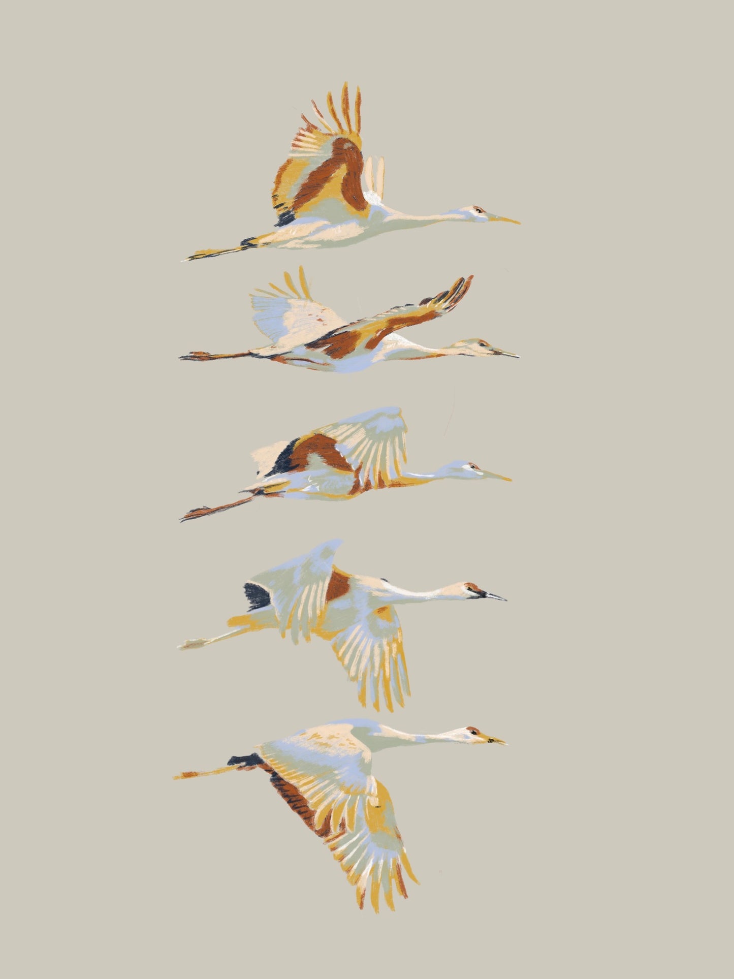 'Free bird' Aluminium Dibond