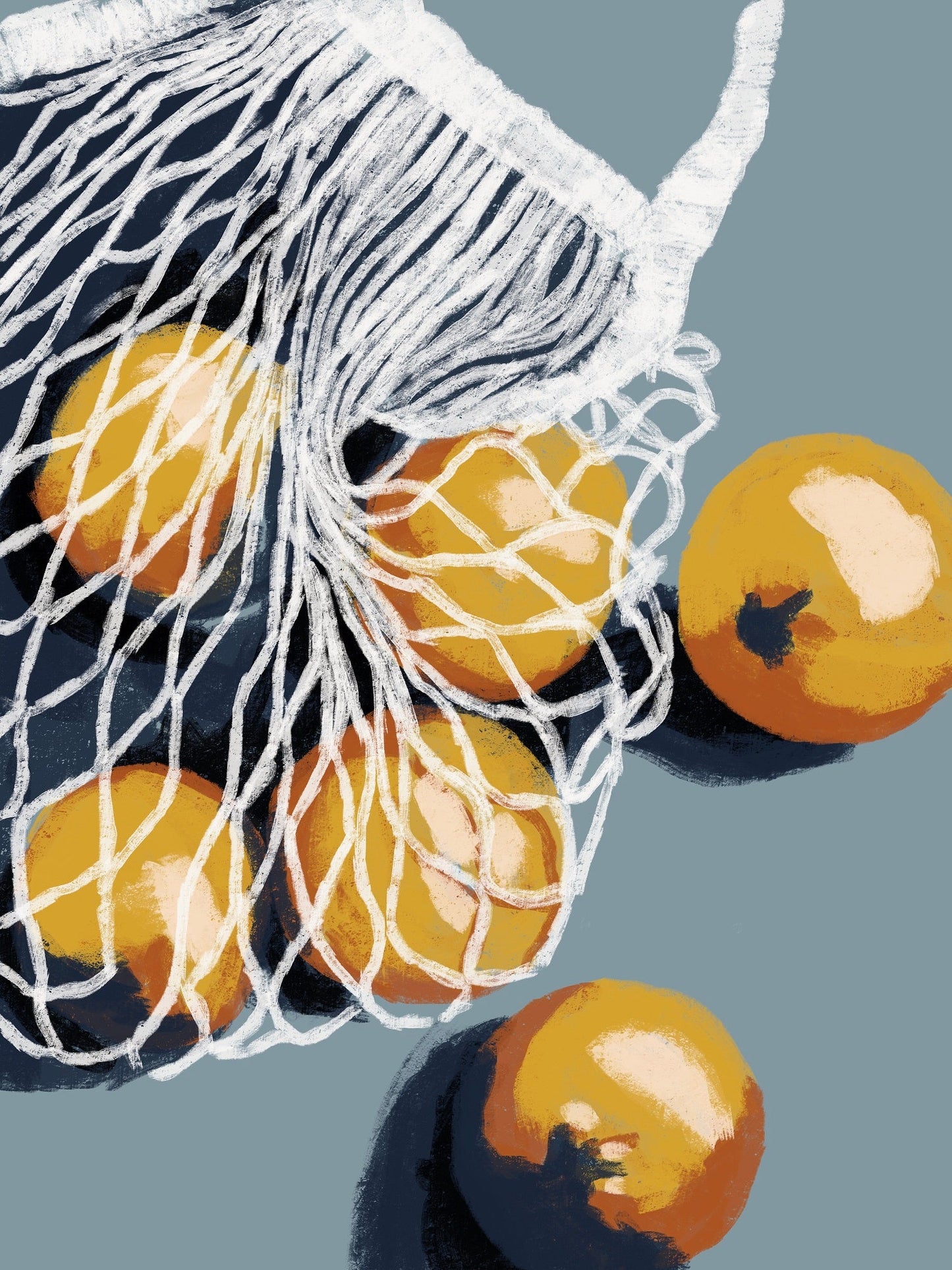 Oranges in a bag XL Poster