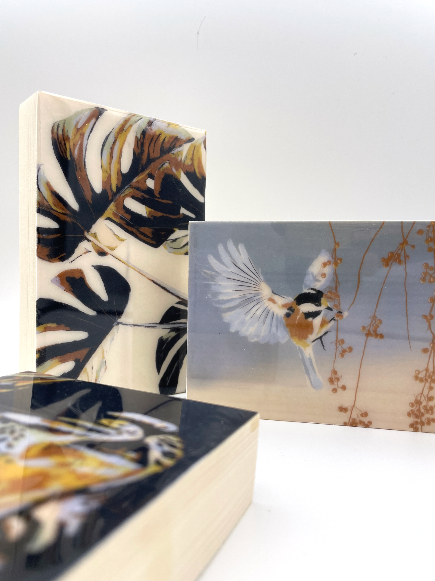 Zebra Butts Wood Tile