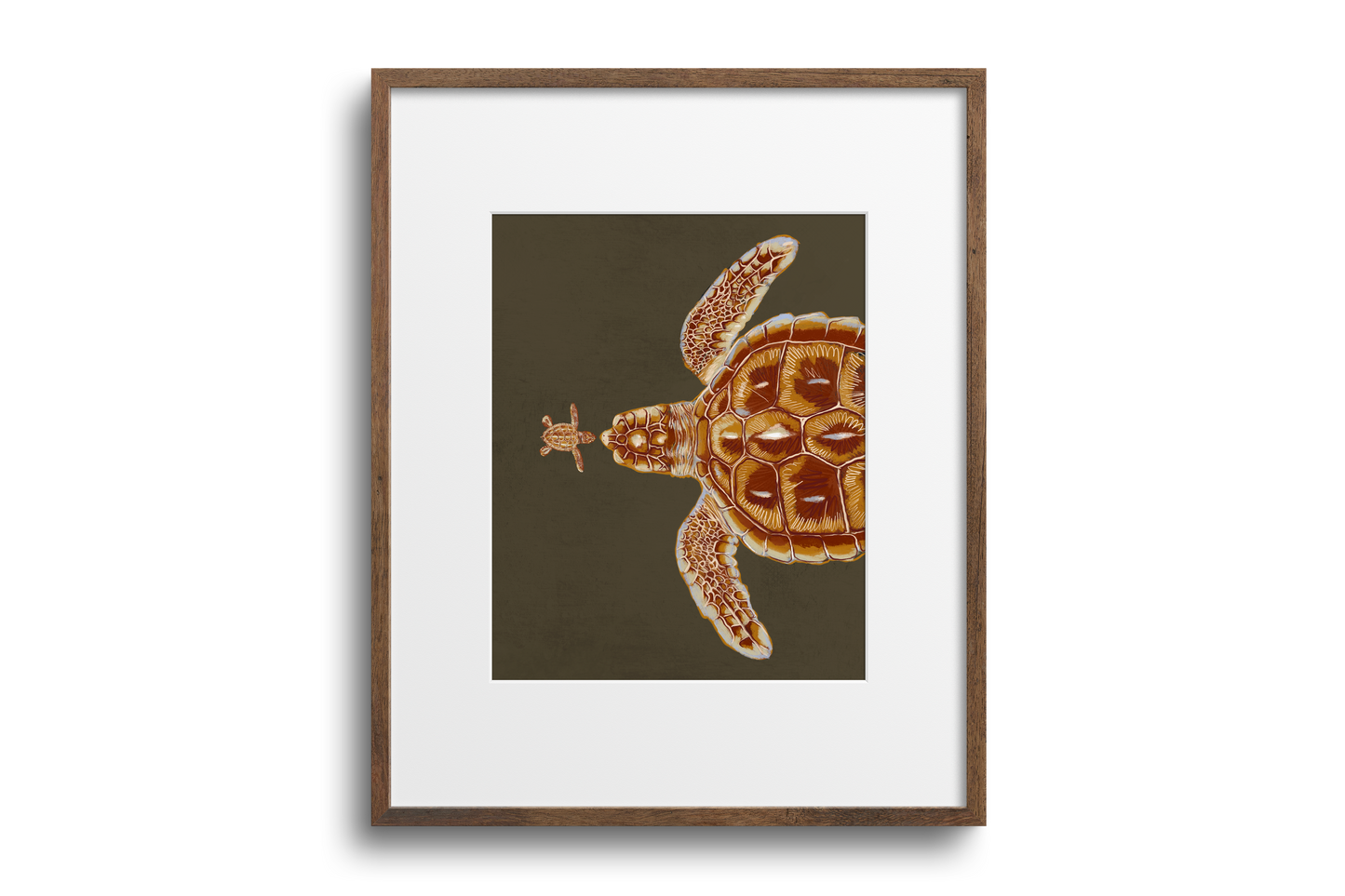 Sea turtles