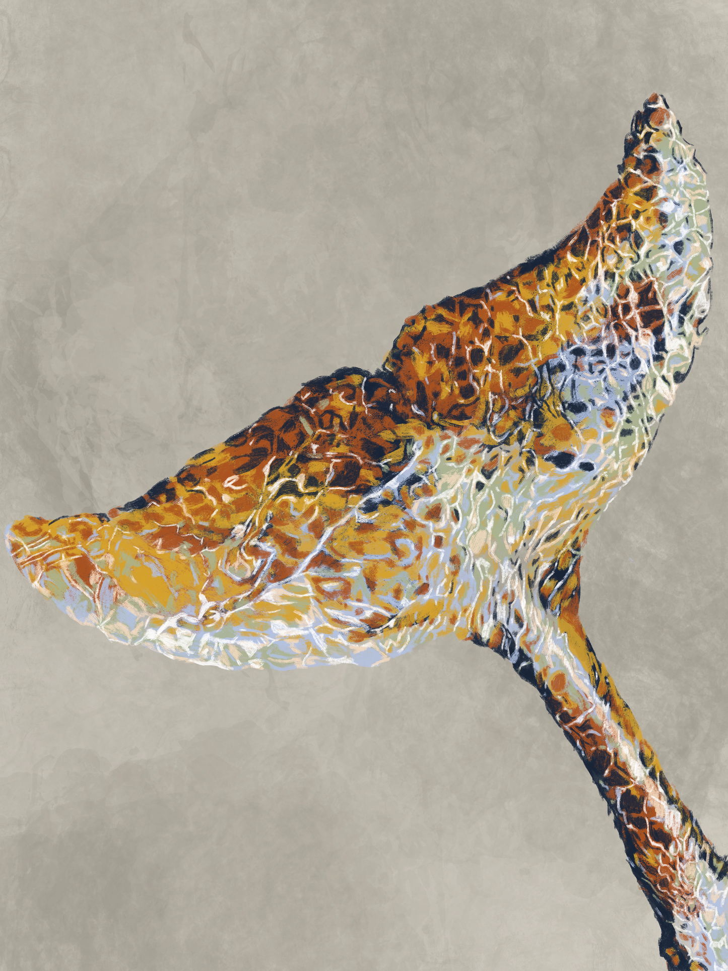'Whale tale' Aluminium Dibond