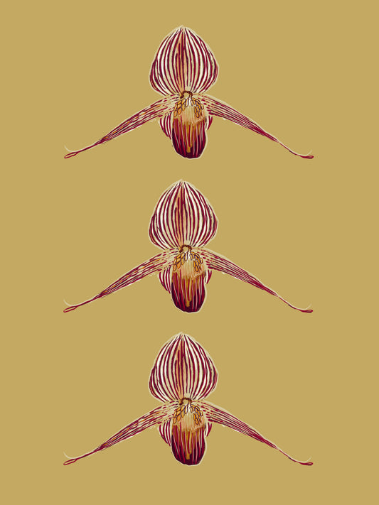 'Gold of Kinabalu' Art Print