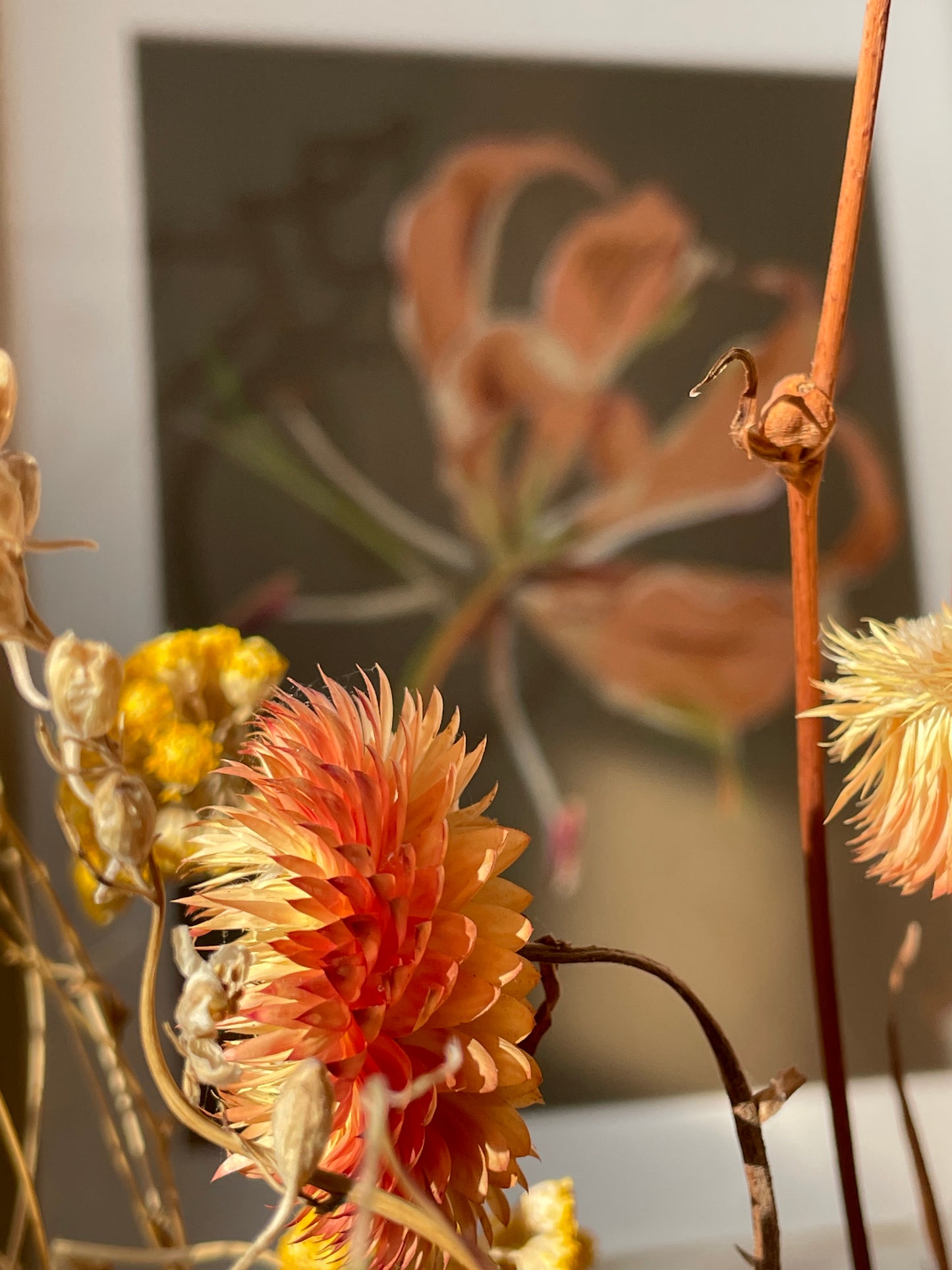 'Flame Lily' Art Print