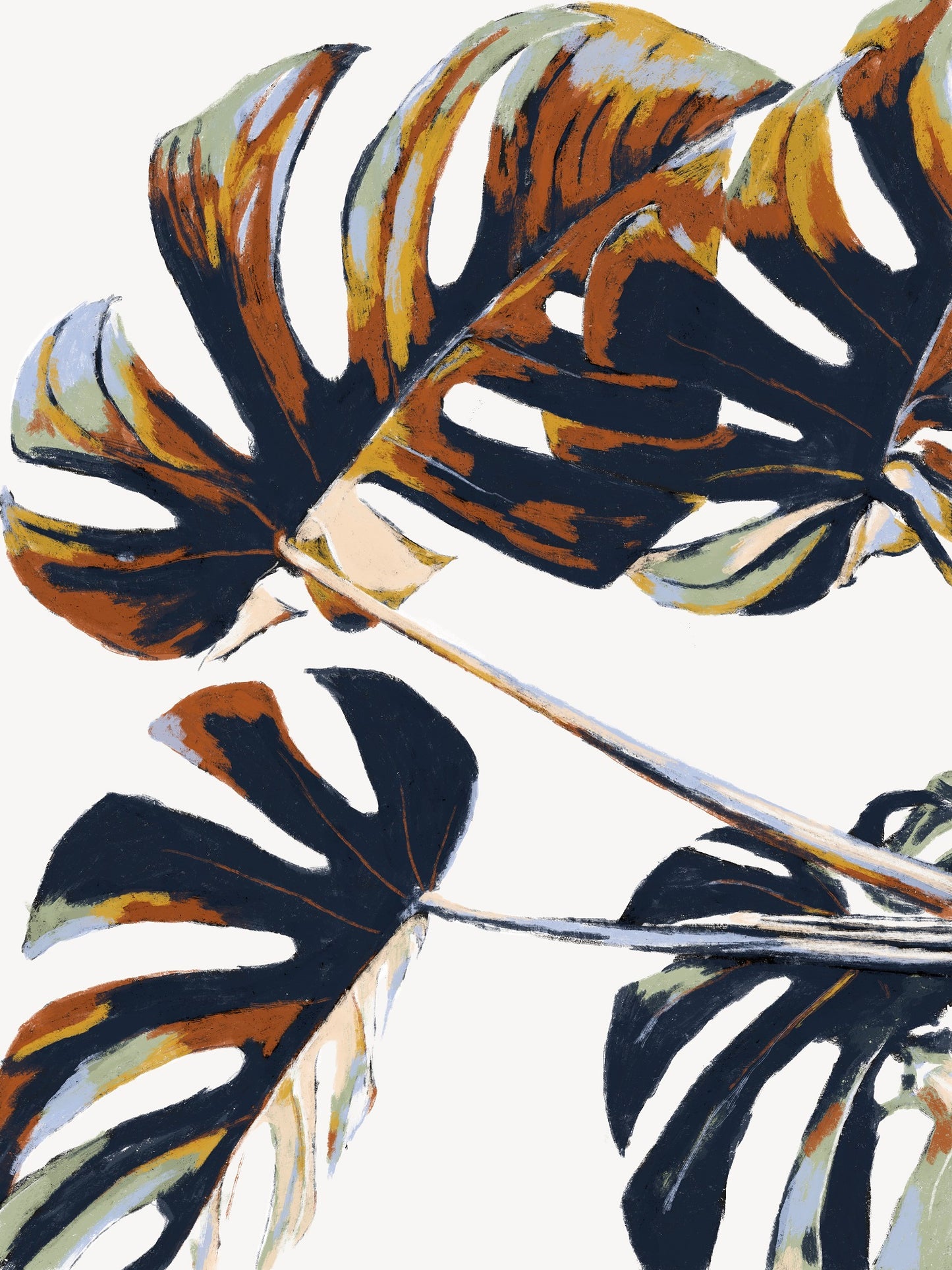 Monstera*