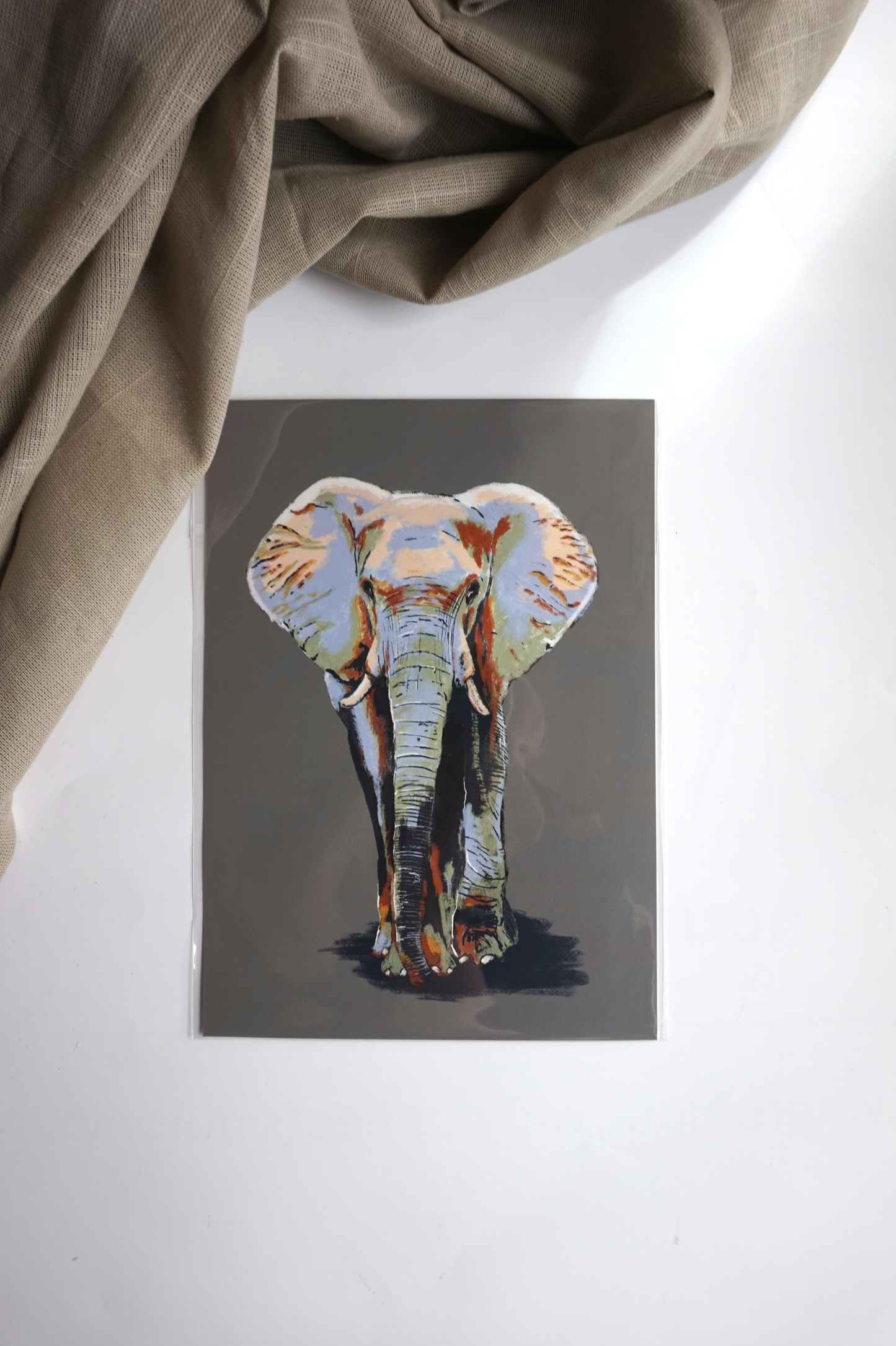 Elephant