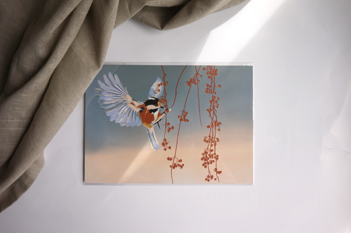 Summer bird