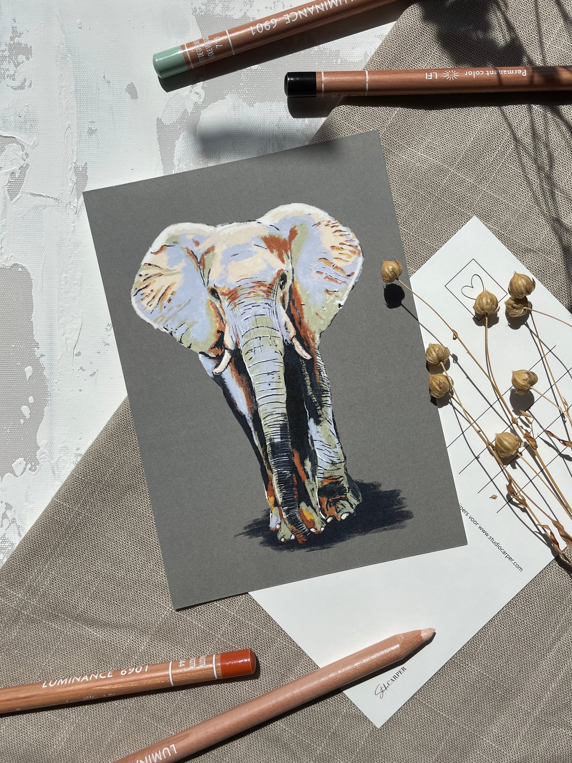 Ansichtkaart van een olifant uit de Wild Africa collectie. Kaart van Studio Carper. 