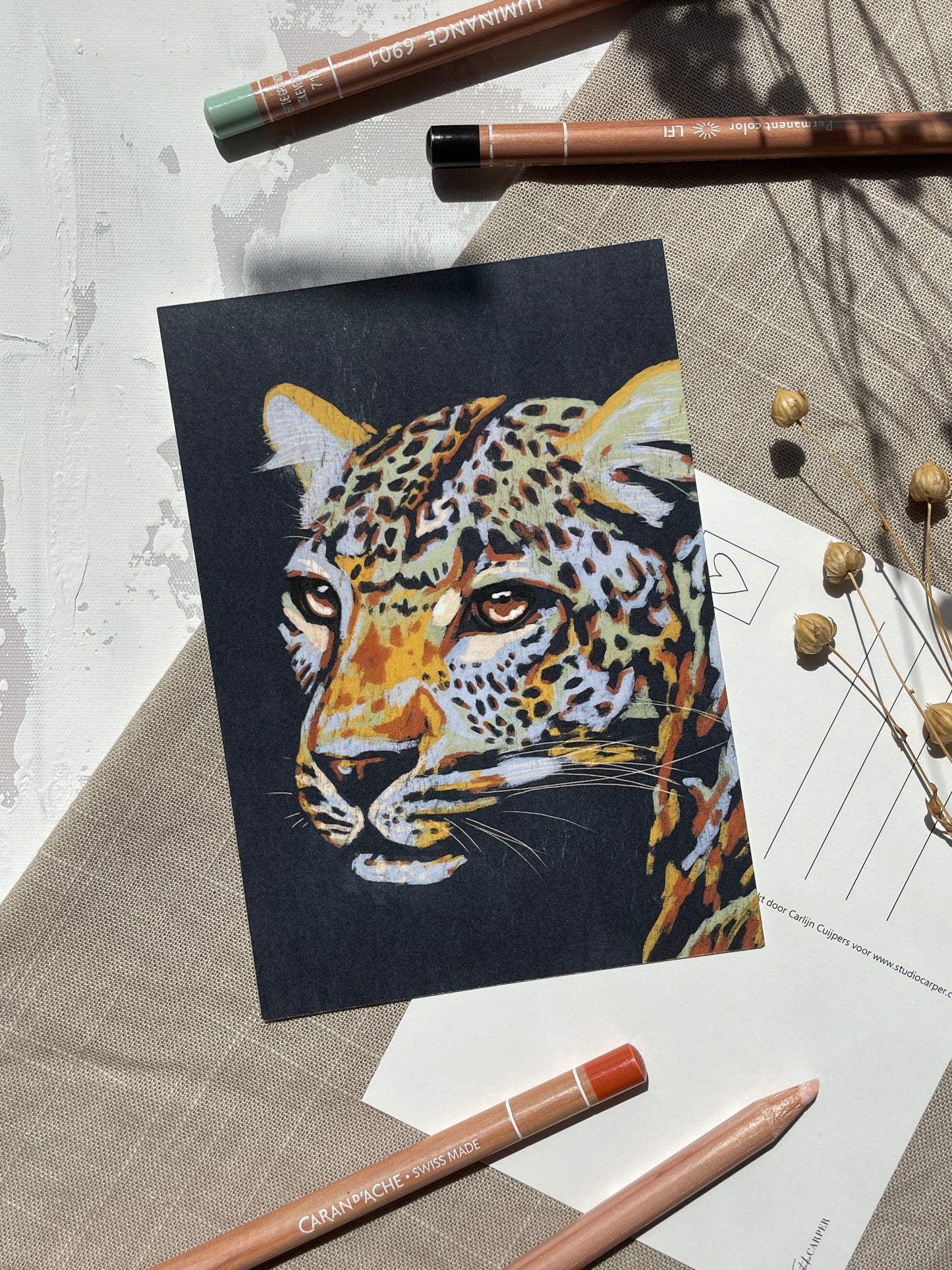 Ansichtkaart met kleurrijke luipaard. Set van 6 ansichtkaarten uit de Wild Africa kunst collectie van Studio Carper. 