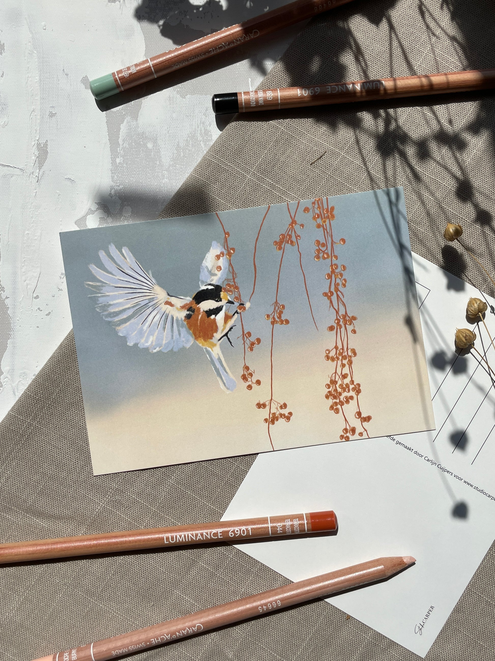 Vogel ansichtkaartenset. 6 Kunstzinnige vogel kaarten van Studio Carper
