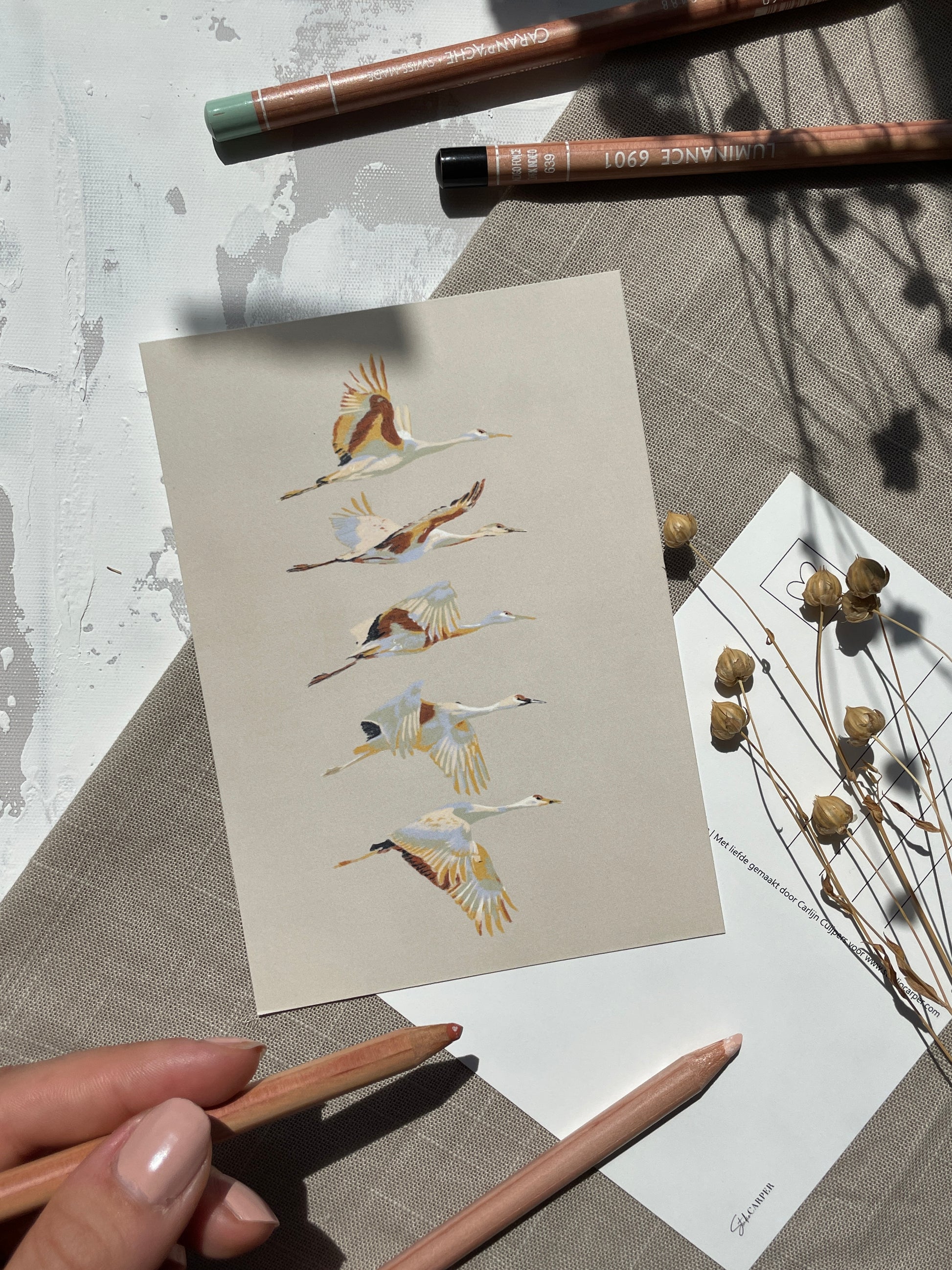 Ansichtkaart met kraanvogels. Kaart uit de zes delige ansichtkaarten set Birds. In de kaartsenset zijn alle zes de kunstwerken uit de serie Birds van Studio Carper te vinden. 