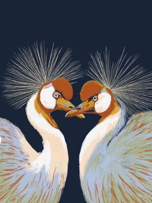 Love birds XL Poster