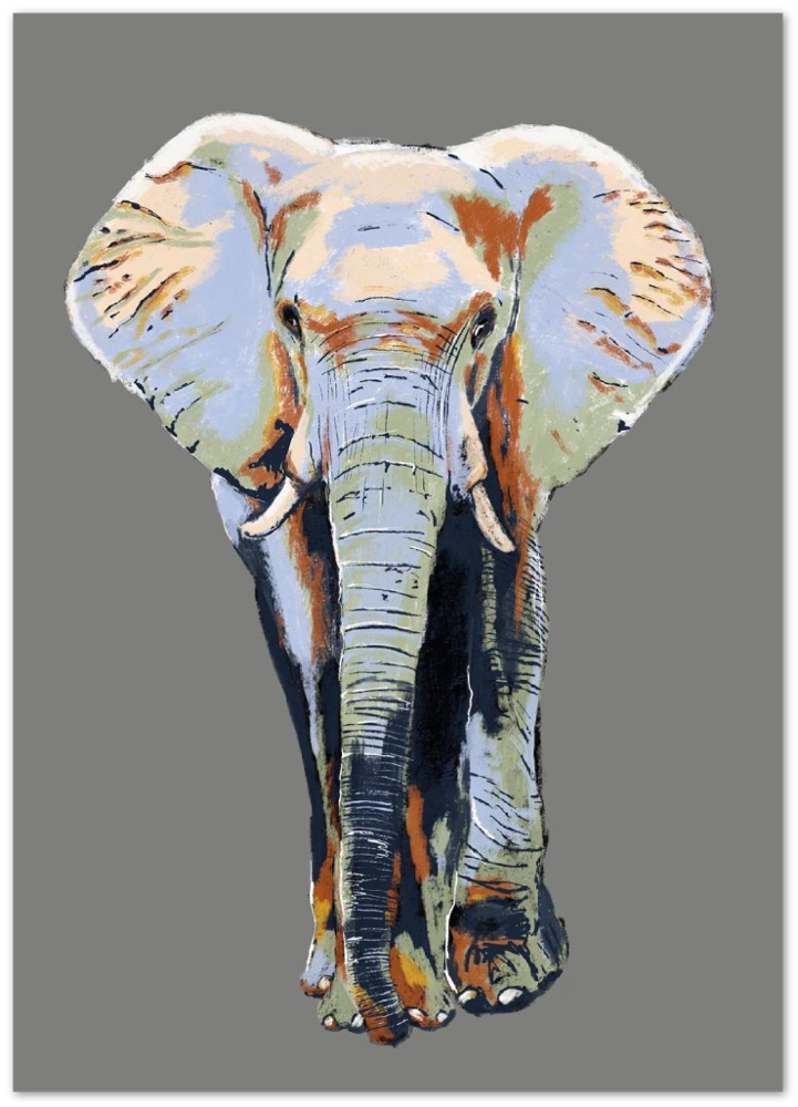 'Elephant' Aluminium Dibond