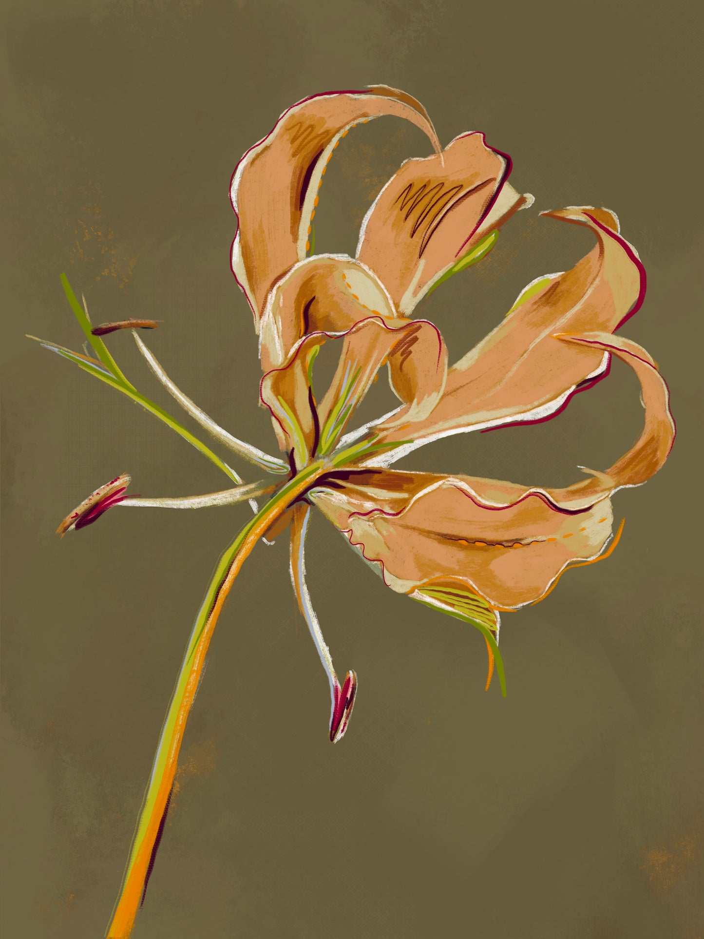 'Flame Lily' Wood Print