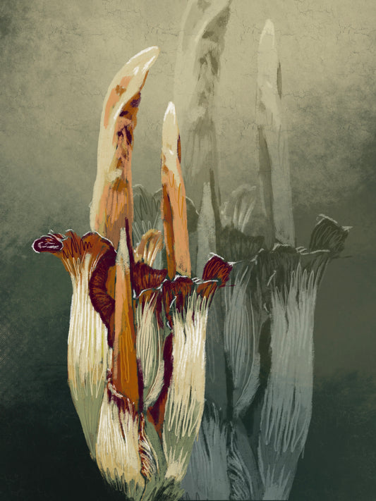 'Corpse Flower' Art Print